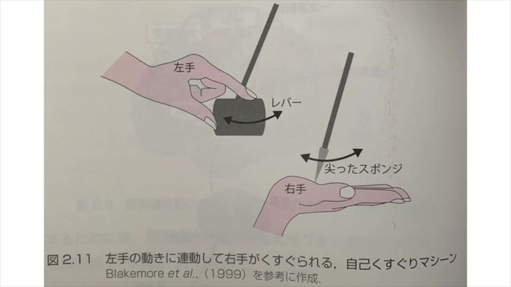 ②自己所有感と運動主体感